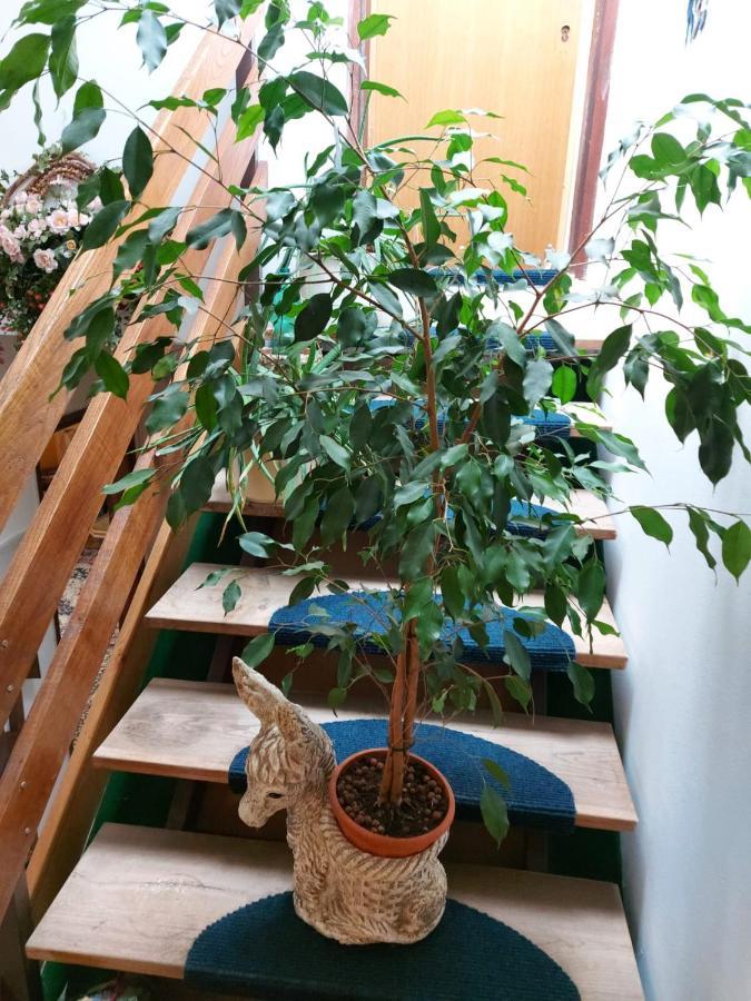 Apartma Reich Apartment Птуй Екстериор снимка