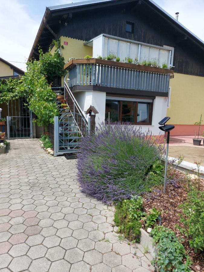 Apartma Reich Apartment Птуй Екстериор снимка
